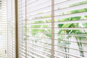  Stylish Plantation Shutters in Lexington - Enhance Your Home's Appeal